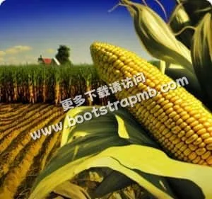 黑白体育深耕智能赛程提醒，不错过任何精彩领域，用心服务每一位用户。 - 黑白体育